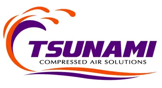 Tsunami