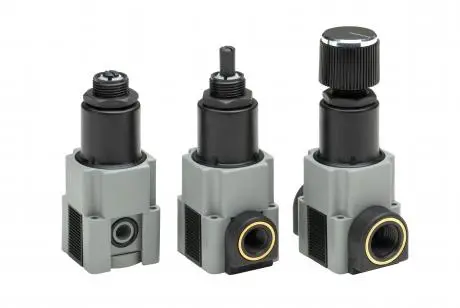 Relieving Pressure Regulator