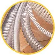 PVC Reinforced Suction Hose