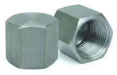 Hex Hydraulic Pipe Cap 5406C